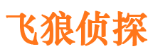 津市外遇出轨调查取证